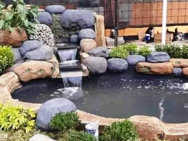 Tukang kolam – Buat kolam dan Relief